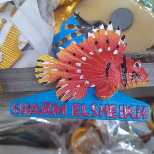 Souvenir-Magnet aus Meeresstein